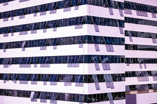 开云体育app在线-体育新闻中心建设体育数字内容版权保护体系，体育数据新闻